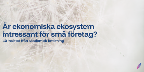 Är ekonomiska ekosystem intressant för små företag