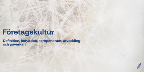 Företagskultur