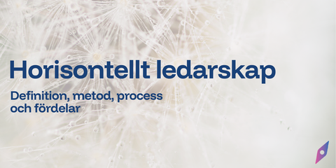 Horisontellt ledarskap