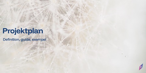 Projektplan
