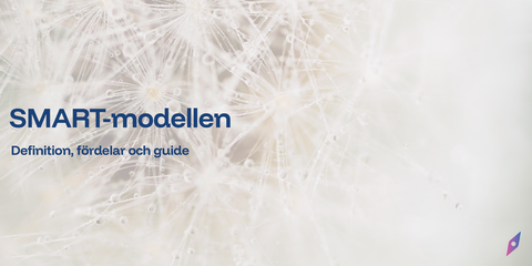 SMART-modellen