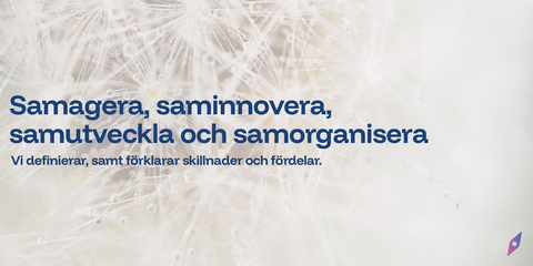 Samagera, saminnovera, samutveckla och samorganisera