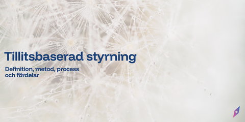 Tillitsbaserad styrning